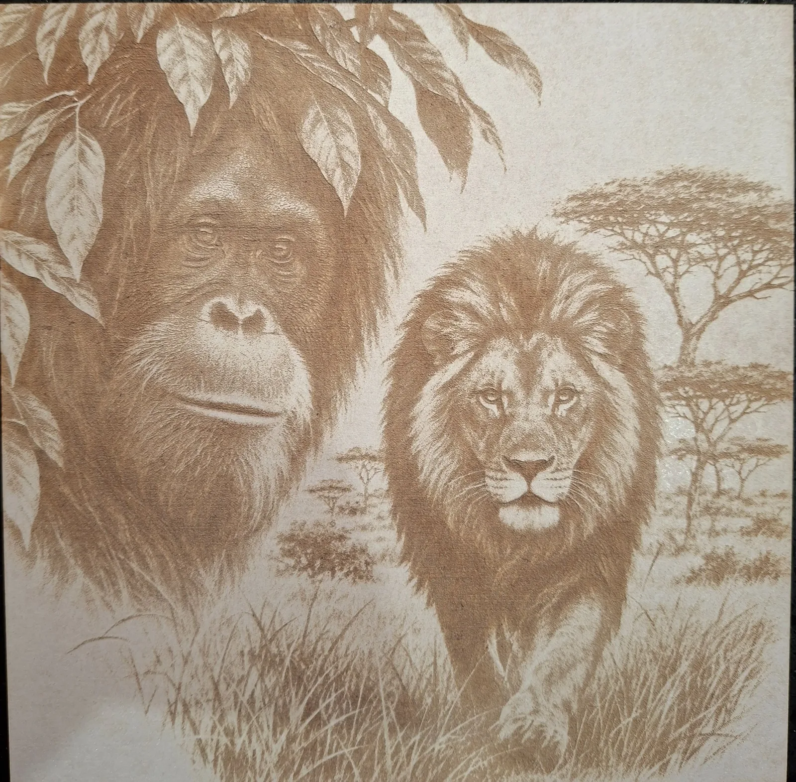 Laser engraved on white sprayed MDF