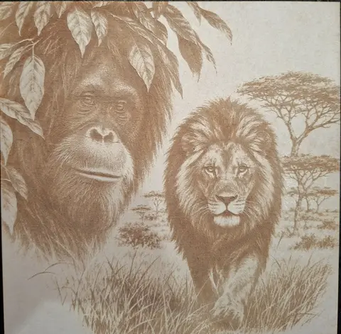 Laser engraved on white sprayed MDF