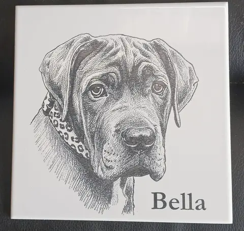 Bella on white tile