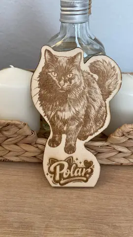 My Cat Polar