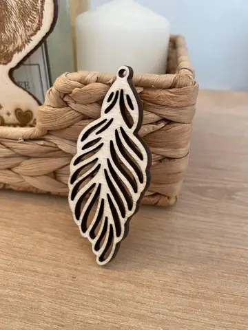 Earring or Necklace