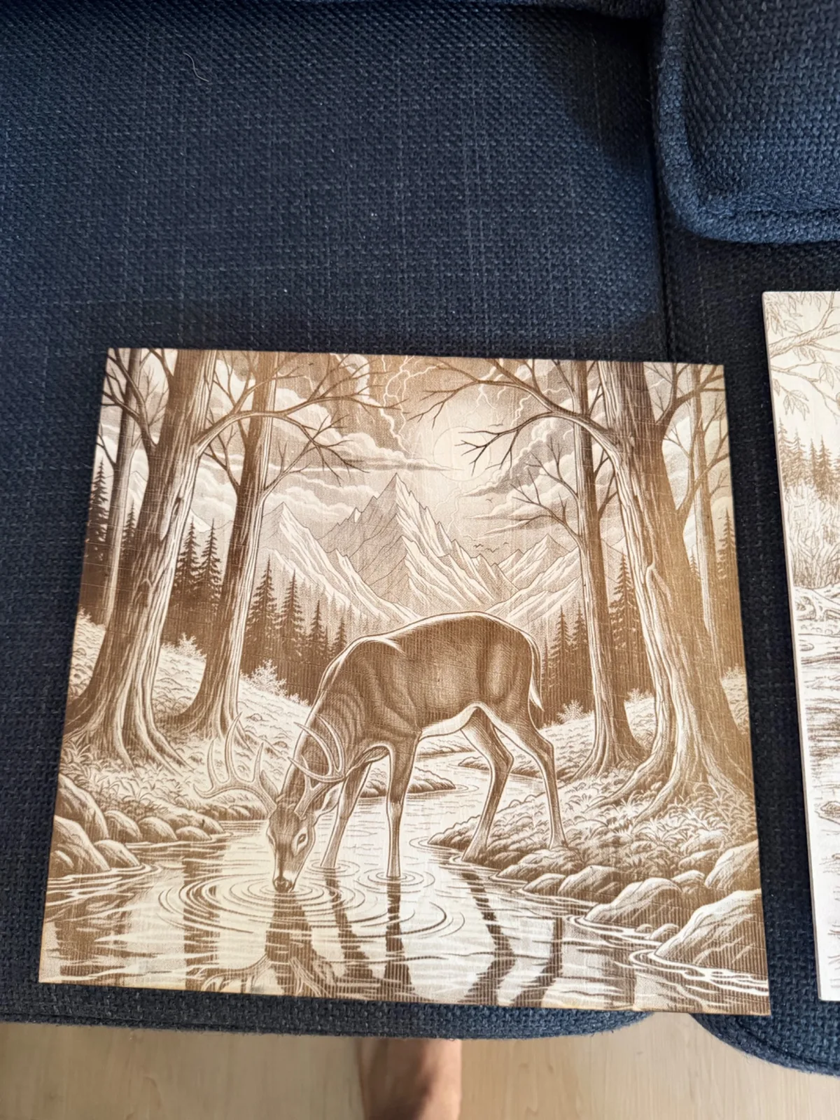 Deer