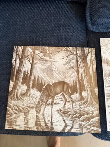 Deer