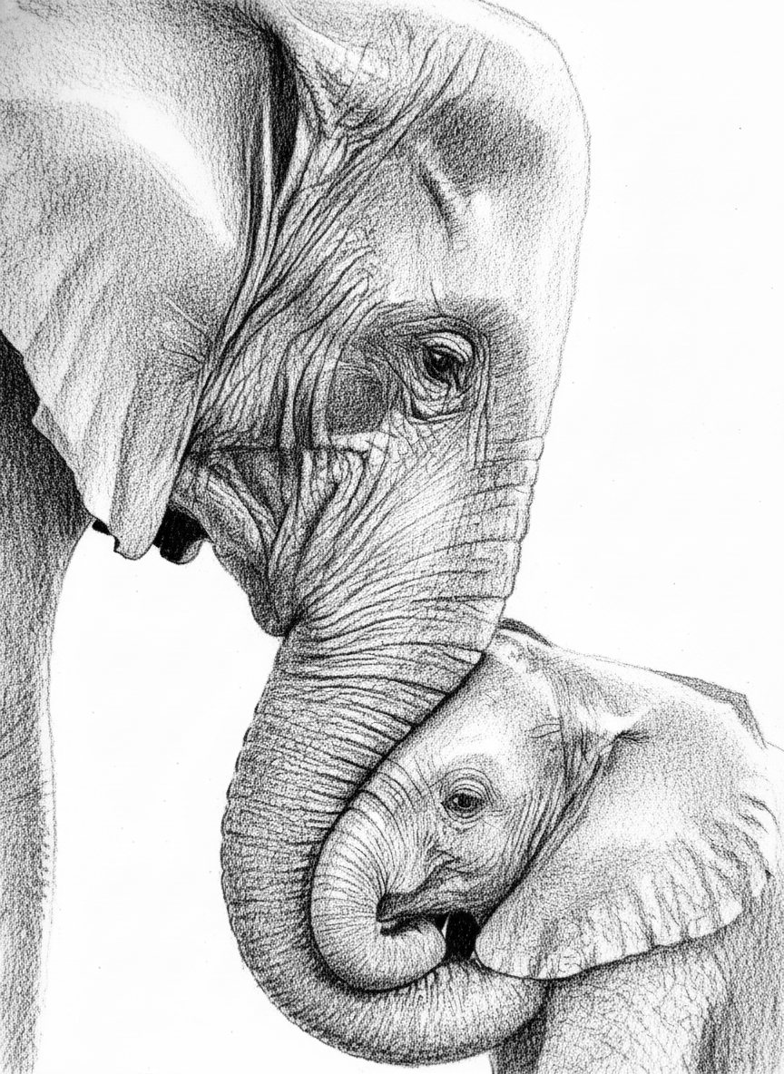 Pencil Sketch Immagine raster