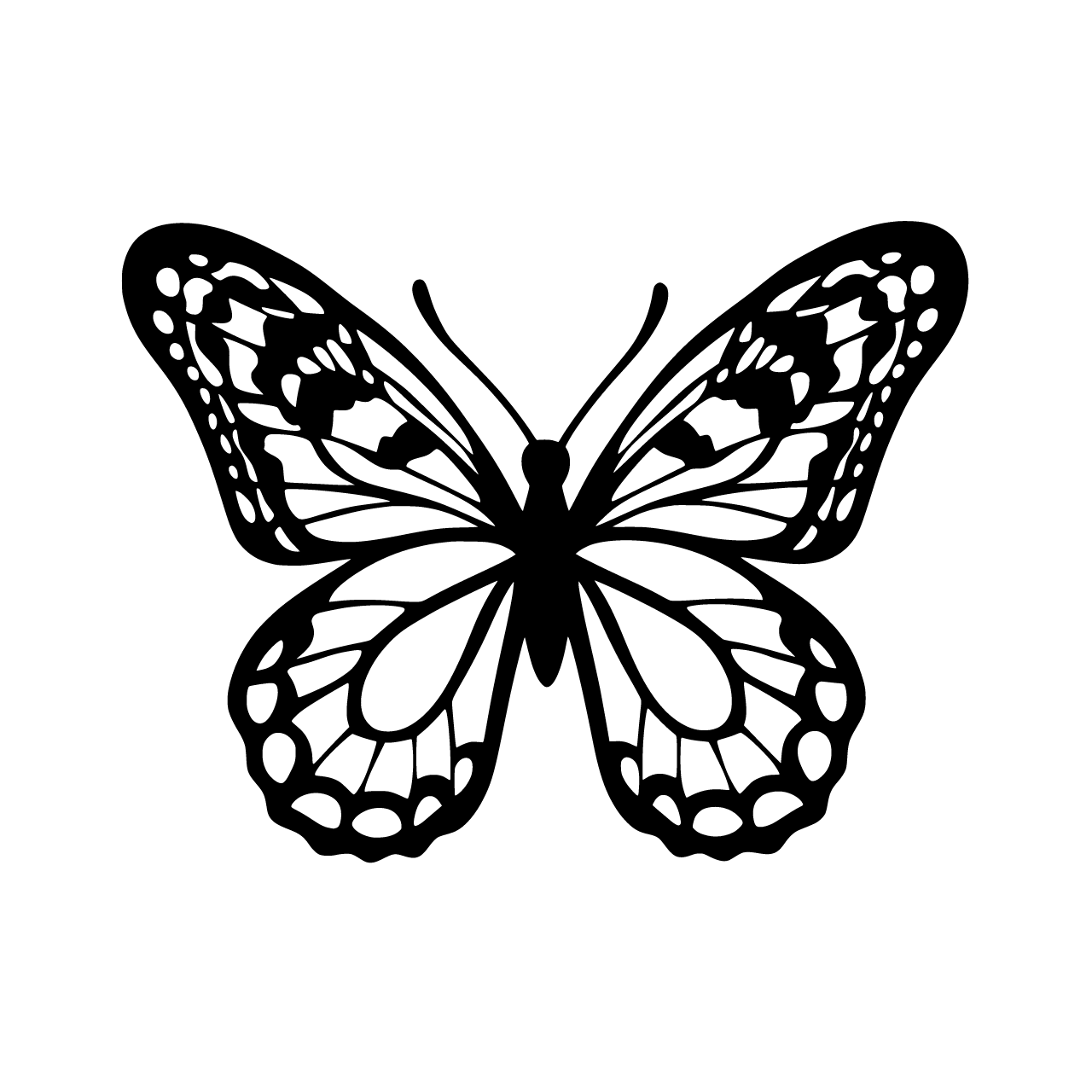Remove background and body of butterfly