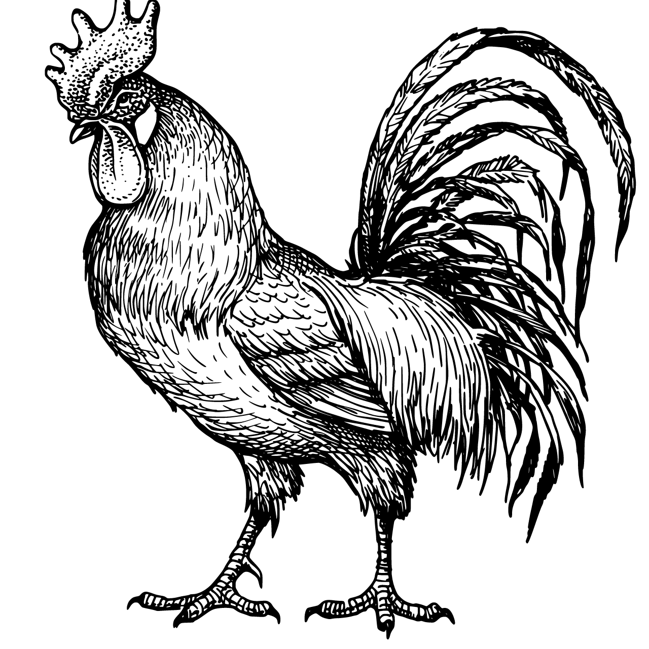 Outline Vector file