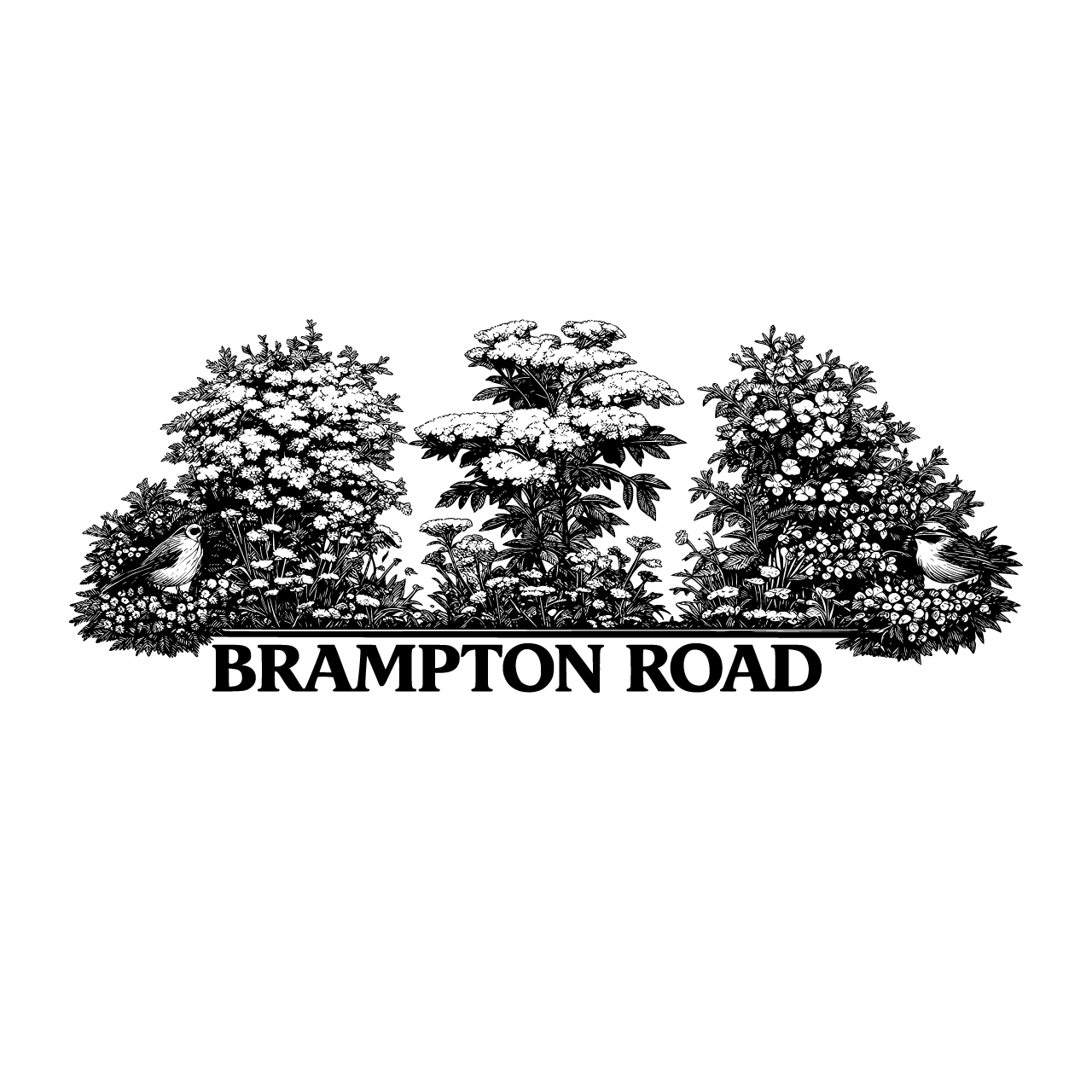 Outline Vector file