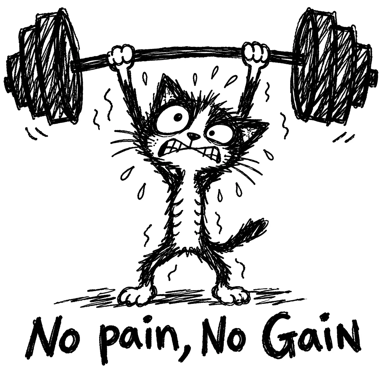 Skinny black and white kitten hosting a barbell over his head. He is straining and sweating. Caption "No pain, No Gain".
