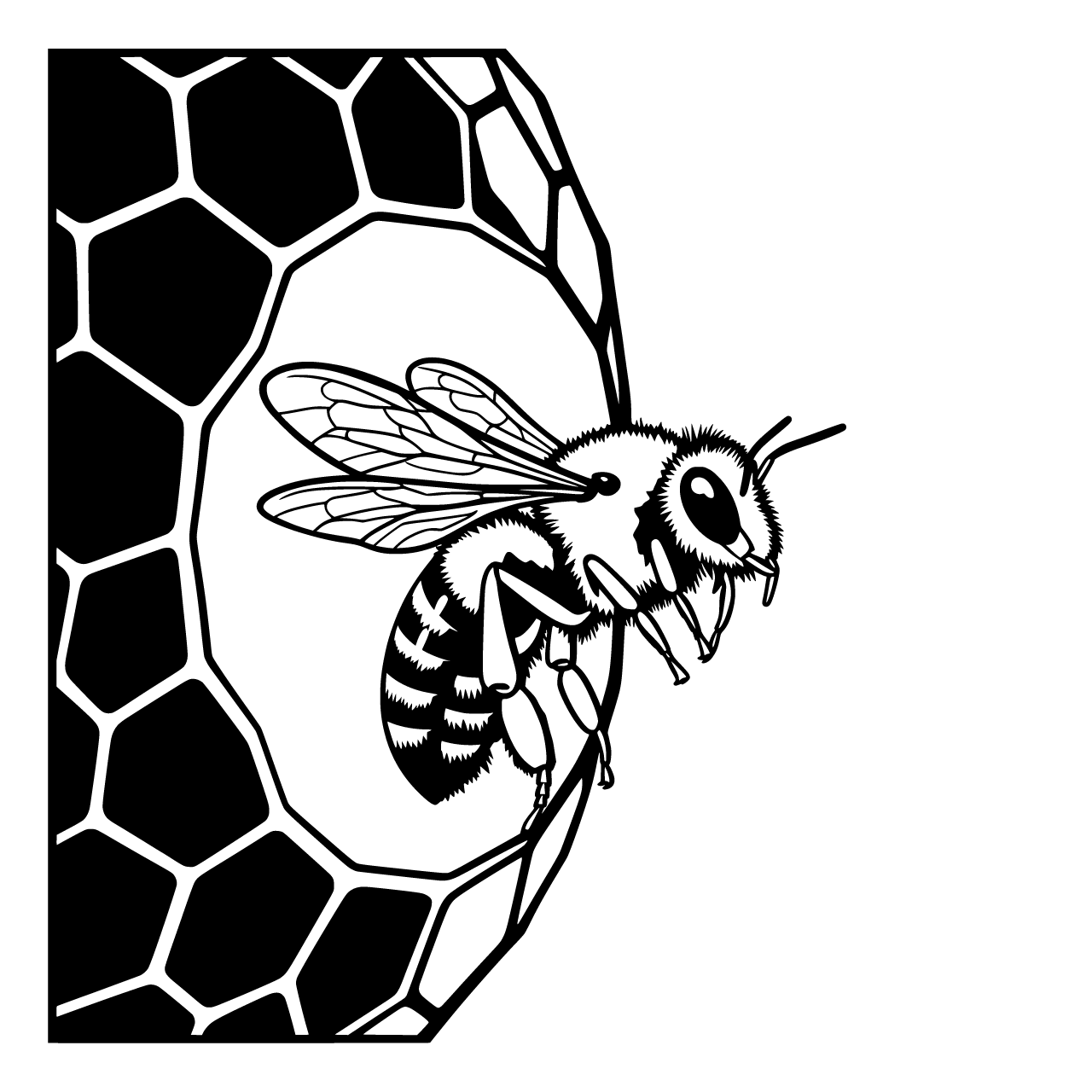 Drawing Vektordatei