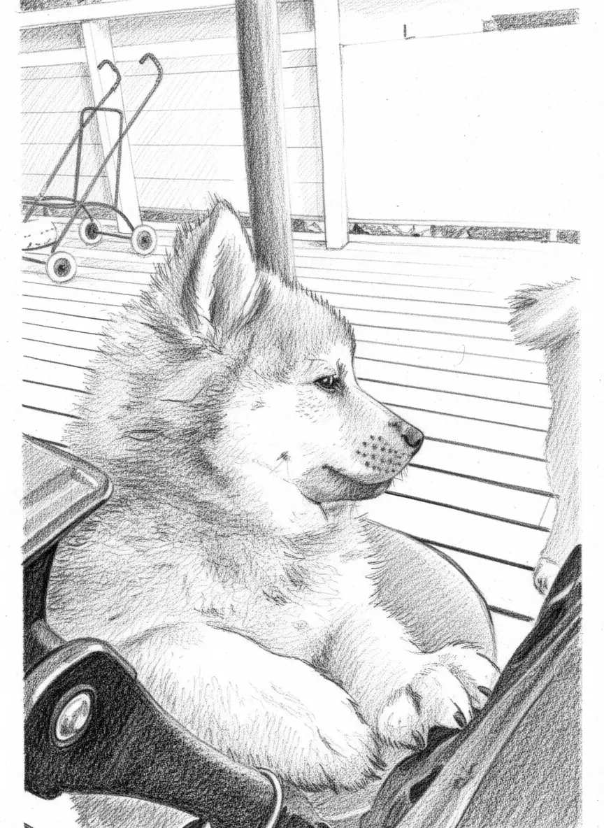 only dog