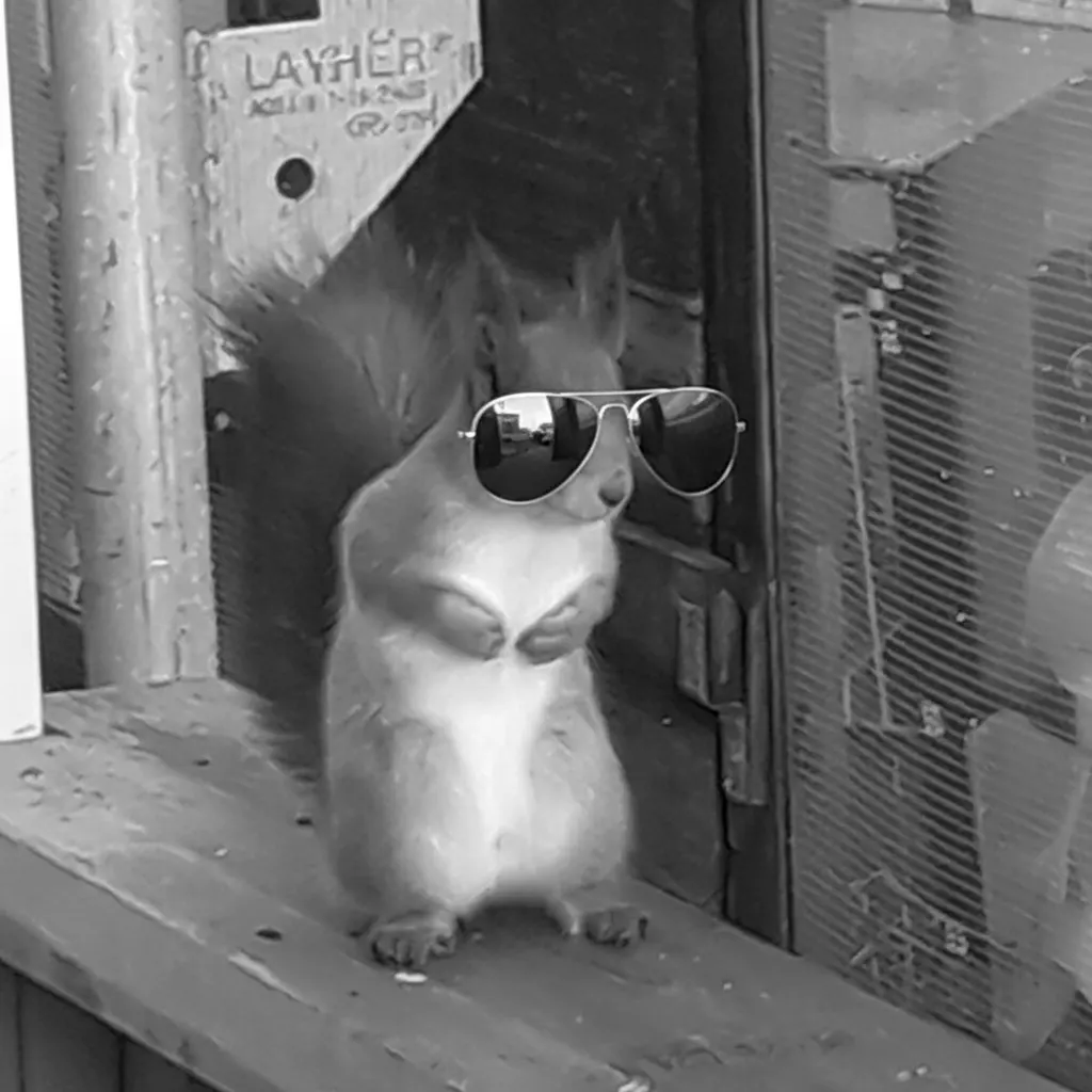 Hiding behind sunglasses