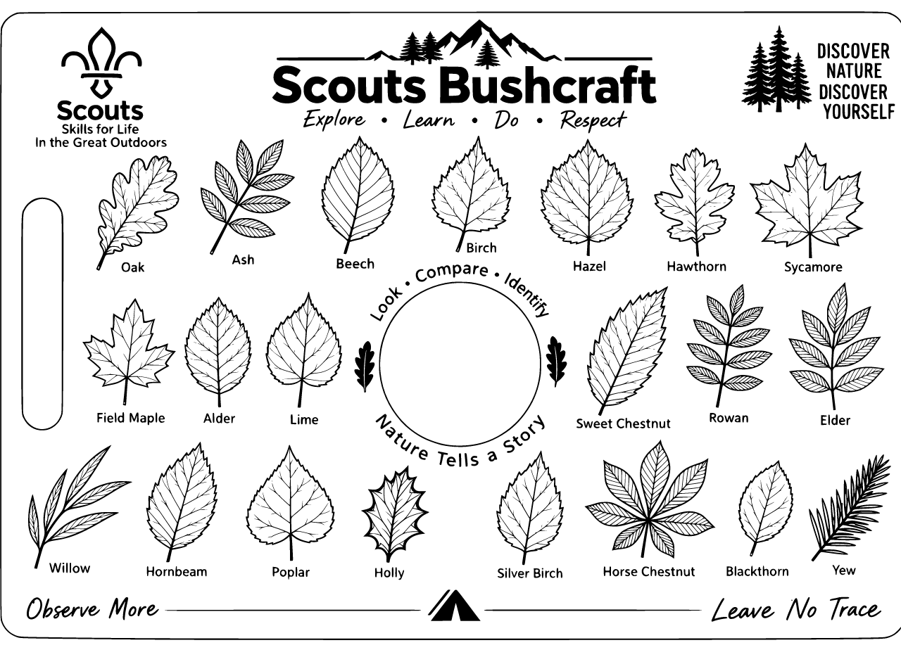Graphique vectoriel de style outline